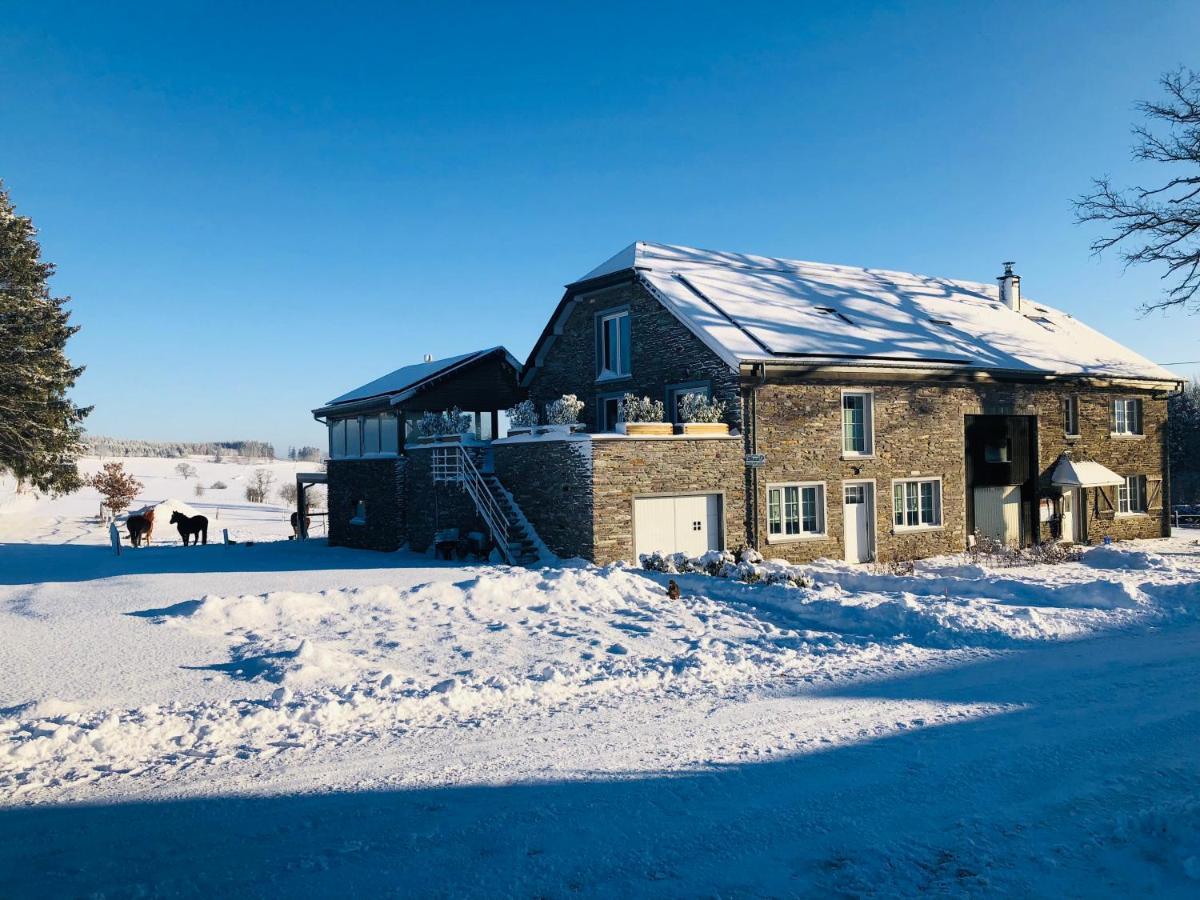 B&B Pegasus II - Chambre Familiale De Luxe Avec Sauna Privatif Vielsalm Zewnętrze zdjęcie