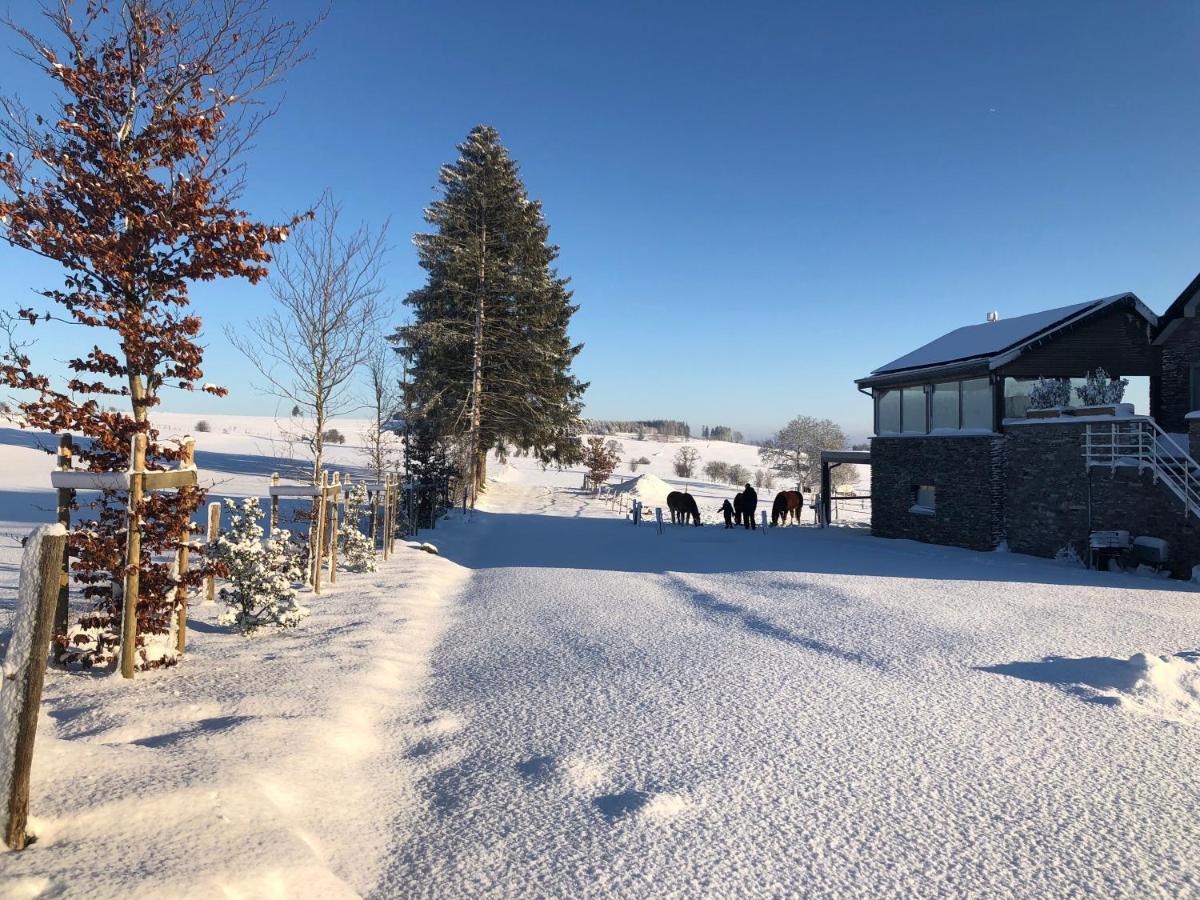 B&B Pegasus II - Chambre Familiale De Luxe Avec Sauna Privatif Vielsalm Zewnętrze zdjęcie