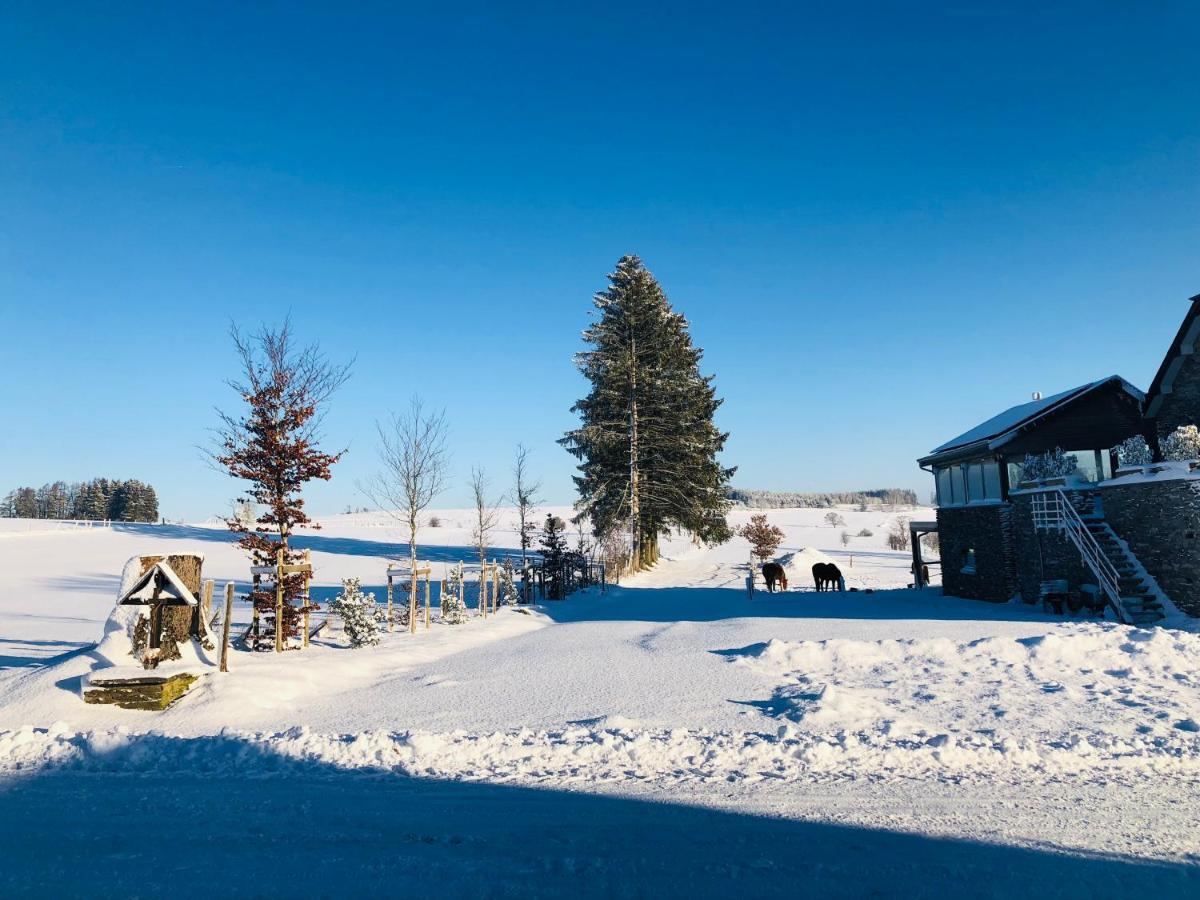 B&B Pegasus II - Chambre Familiale De Luxe Avec Sauna Privatif Vielsalm Zewnętrze zdjęcie