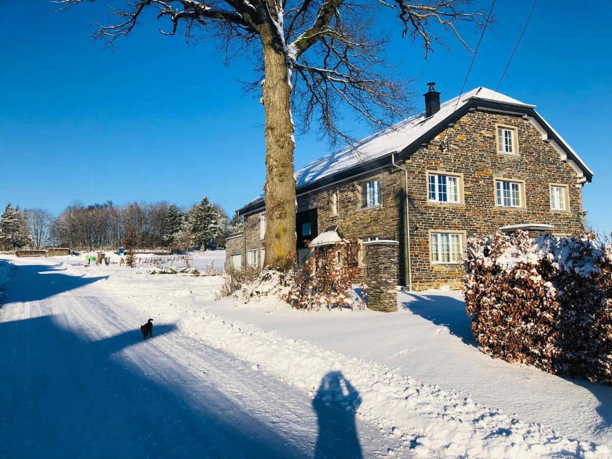 B&B Pegasus II - Chambre Familiale De Luxe Avec Sauna Privatif Vielsalm Zewnętrze zdjęcie